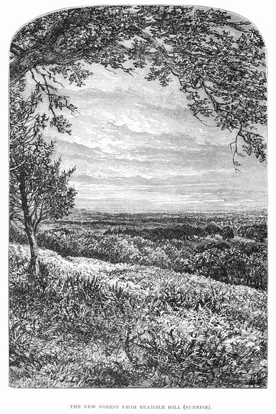 La Nuova Foresta, la sua storia e il suo paesaggio da Walter Crane